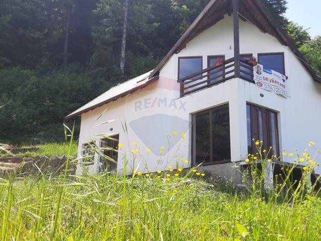 Casa/vila 4 camere vanzare in Neamt, Vadurele Alexandru cel Bun vezi locația pe hartă