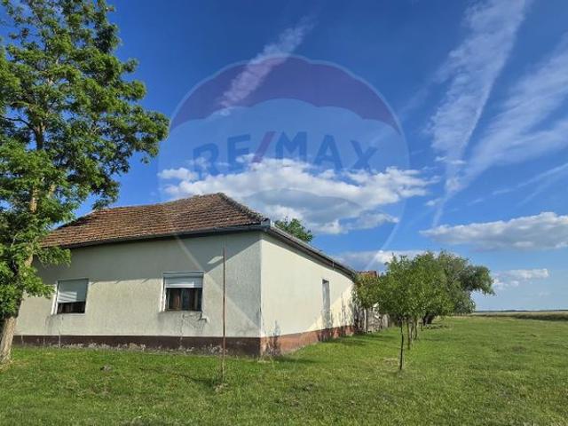 Casa/vila 4 camere vanzare in Arad, Adea vezi locația pe hartă
