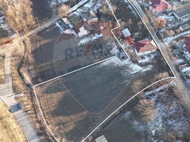 Casa/vila 4 camere vanzare in Iasi, Ruginoasa vezi locația pe hartă