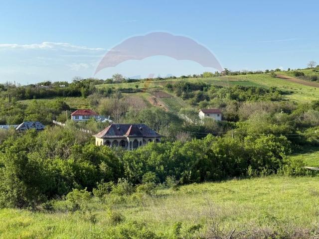 Casa/vila 5 camere vanzare in Dolj, Cornetu vezi locația pe hartă