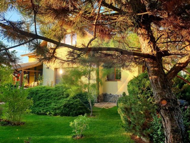 Casa/vila 7 camere vanzare in Bucuresti Ilfov, Tancabesti vezi locația pe hartă