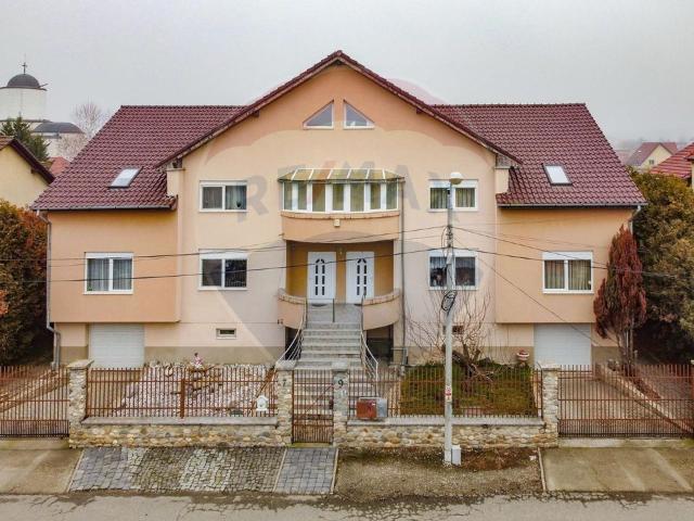 Casa/vila 10 camere vanzare in Timisoara, Braytim vezi locația pe hartă