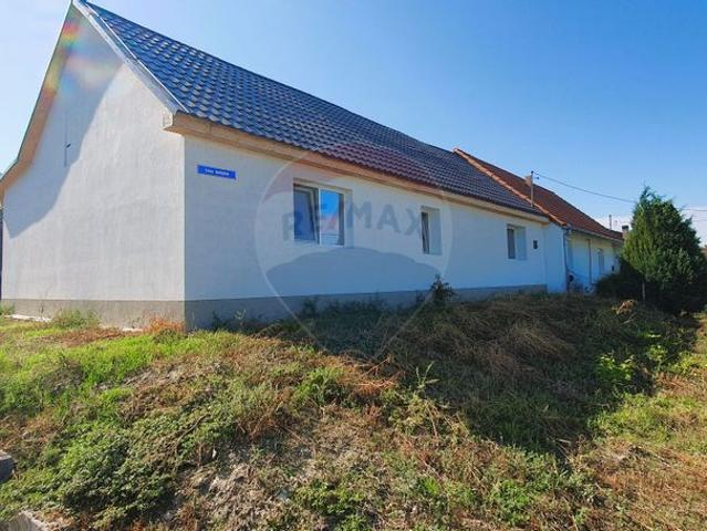 Casa/vila 3 camere vanzare in Timis, Periam vezi locația pe hartă