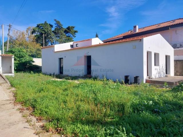 Cascais Cascais 98337536