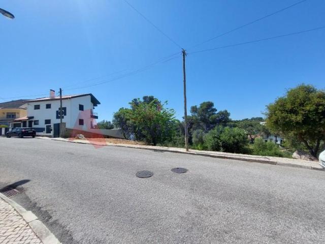Cascais Cascais 98337538