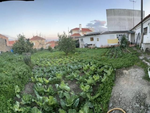 Cascais Lisboa 85280594