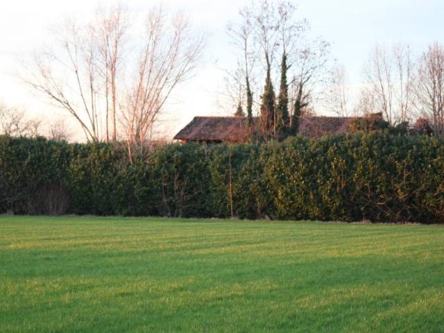 CASCINA in VENDITA a TREVIGLIO di 6 vani