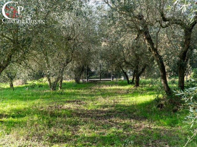 Colonica in vendita a Fiesole, San Jacopo al Girone