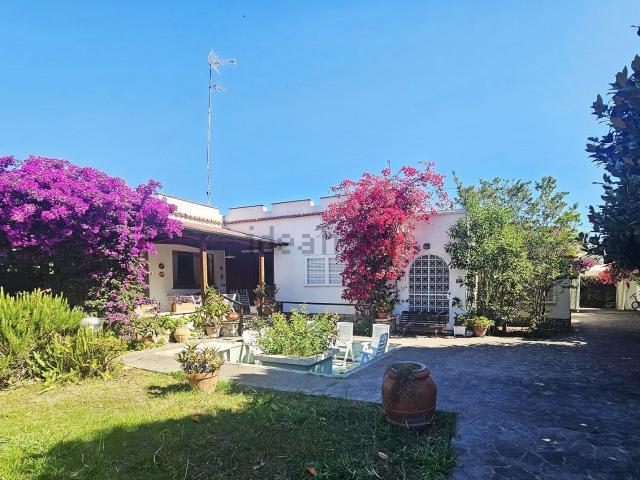 Case e ville in affitto di 150 m² in Via Tiberio Imperatore, 2