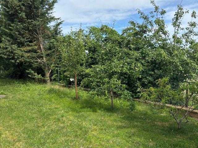 Case e ville in affitto di 240 m²