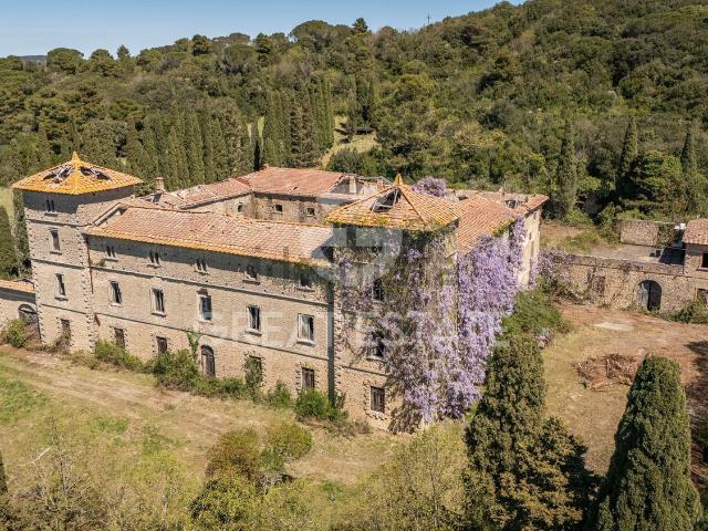 Case e ville in vendita di 4000 m² in Via Boschetto di Gallerone