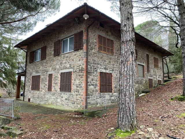 Case e ville in vendita di 400 m² in Via dei Lecci