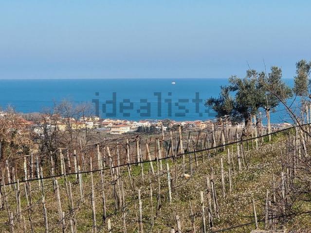 Case e ville in vendita di 400 m² in Contrada Savini, 5