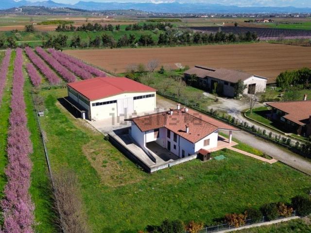 Case e ville in vendita di 440 m²