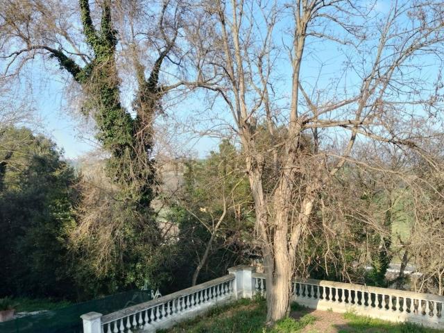 Case e ville in vendita di 443 m² in Frazione Montesicuro
