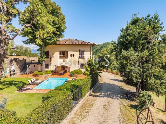 Case e ville in vendita di 4876 m² in Via Castello di Cintoia, 10