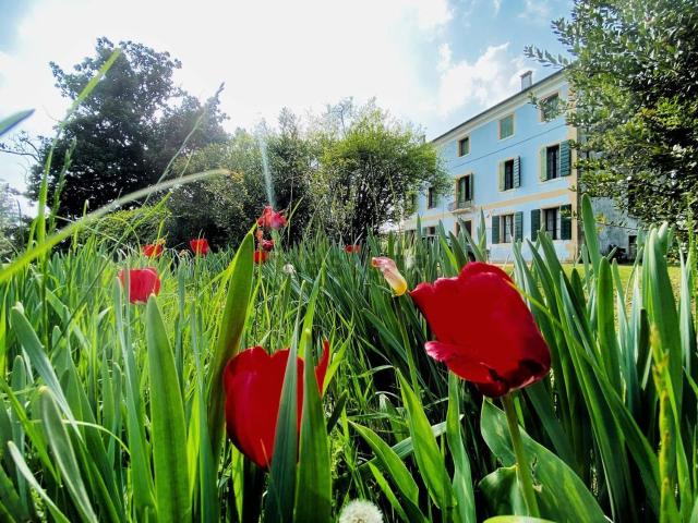 Case e ville in vendita di 495 m² in Via Piave, 14