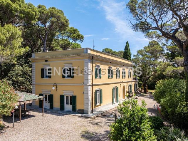 Case e ville in vendita di 511 m² in Via della Ragnaia