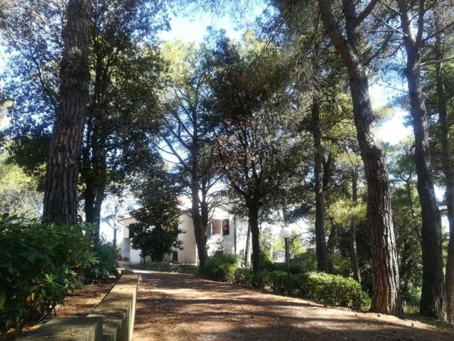 Case e ville in vendita di 575 m²
