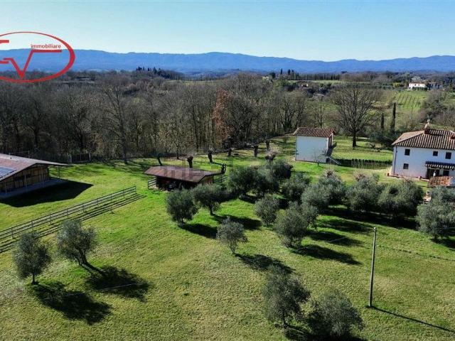 Case e ville in vendita di 600 m² in Via di Ganghereto