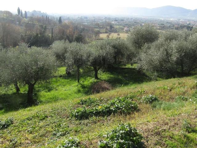 Case e ville in vendita di 600 m² in Via Montecchio, 5