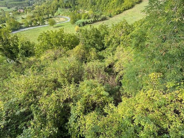 Case e ville in vendita di 600 m² in Strada Cappellette
