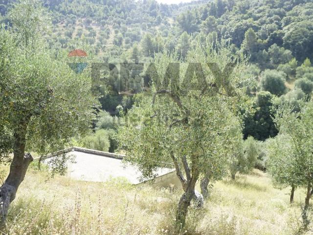 Case e ville in vendita di 60 m² in Strada Statale 89 Garganica