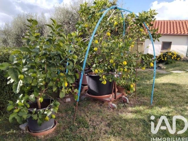 Case e ville in vendita di 628 m² in Strada Provinciale Mondaviese