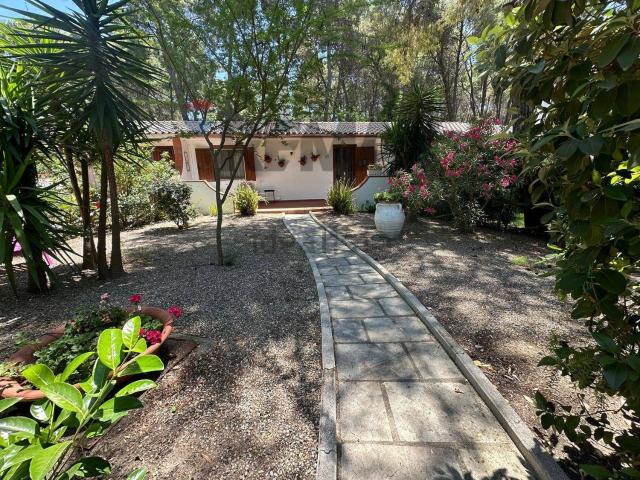 Case e ville in vendita di 97 m² in Borgo Pineto