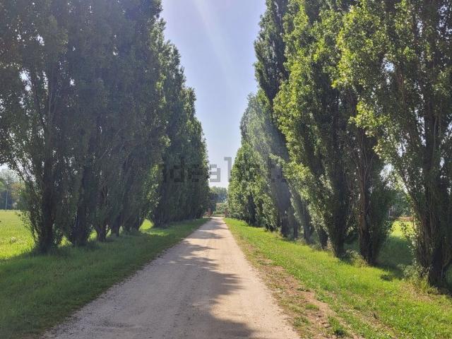 Case e ville in vendita di 630 m² in Via Carraia Tassoni, 2