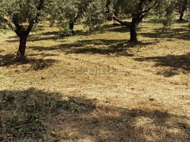 Case e ville in vendita di 64 m² in Via Colle dei Marmi, 97