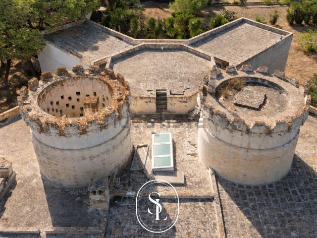 Case e ville in vendita di 70000 m² in Strada Castello di Agnano
