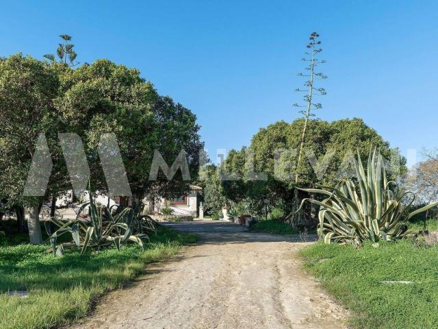 Case e ville in vendita di 700 m² in Contrada Favara