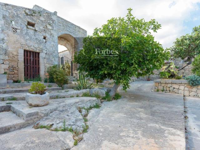 Case e ville in vendita di 750 m² in Strada Provinciale 64