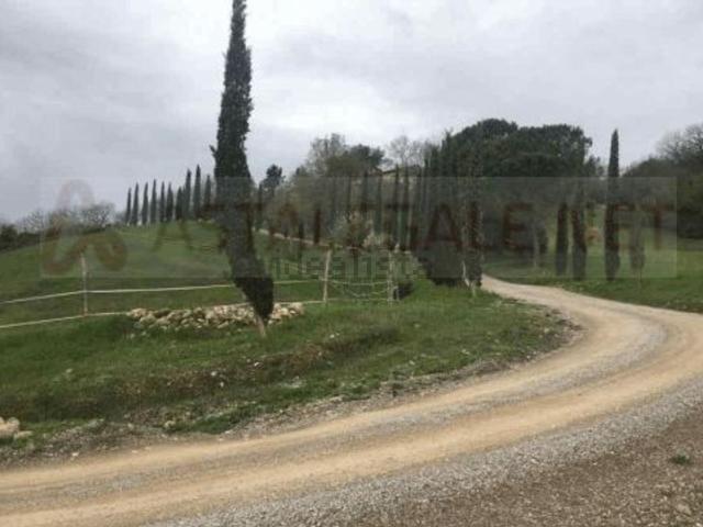 Case e ville in vendita di 856 m² in Località Piantina