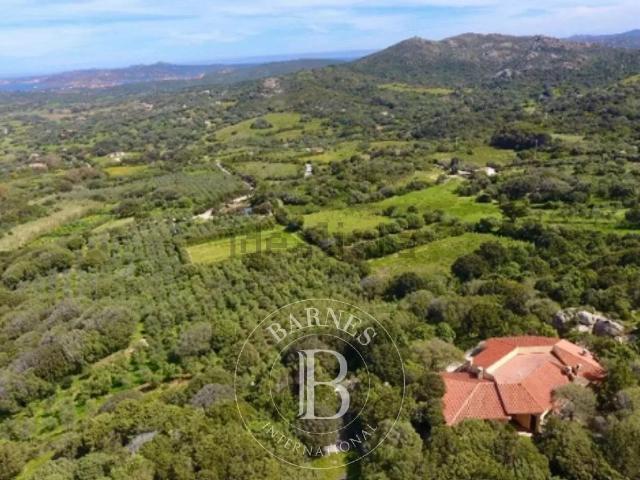 Case e ville in vendita di 900 m²