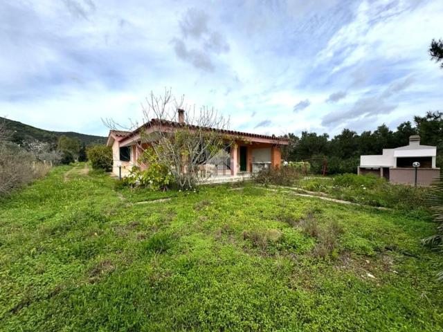 Case e ville in vendita di 100 m²