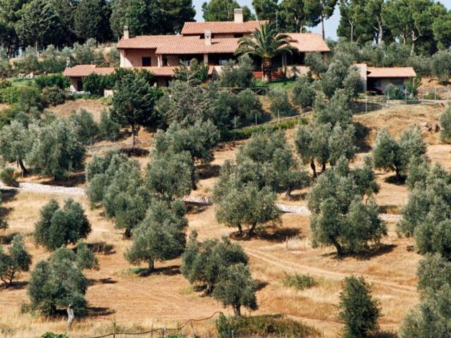 Case e ville in vendita di 1200 m² in Strada Senza Nome