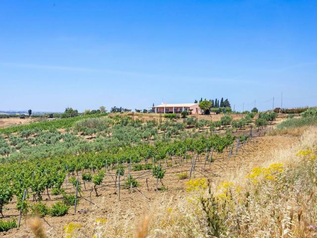 Case e ville in vendita di 120 m² in Contrada Belice di Mare