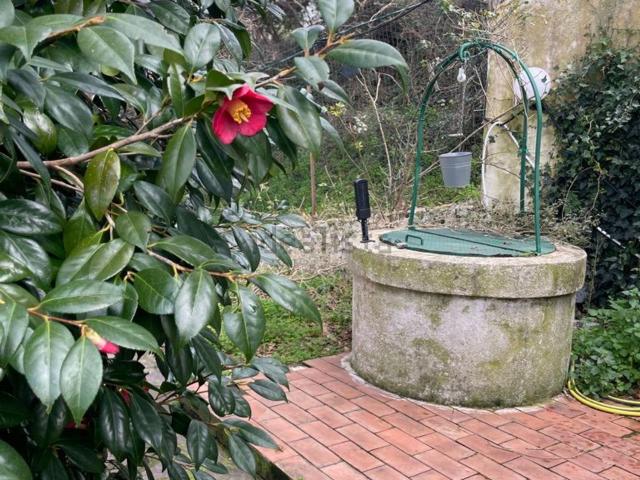 Case e ville in vendita di 134 m² in Contrada filicusi