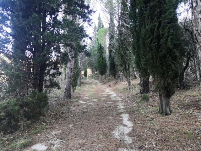 Case e ville in vendita di 1350 m² in Via Tevere