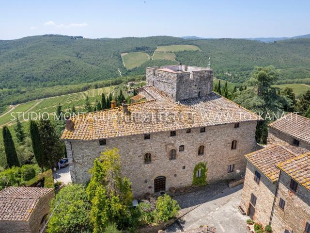 Case e ville in vendita di 1490 m² in Strada Provinciale 408 di Montevarchi