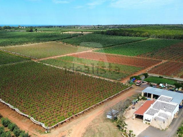 Case e ville in vendita di 150 m² in Contrada Ciole