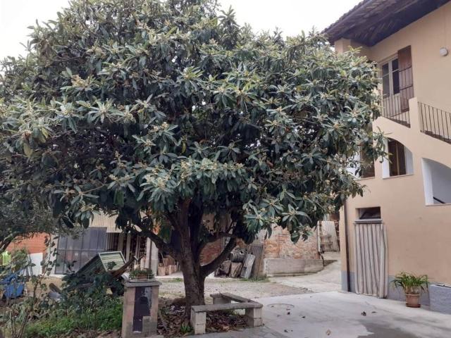Case e ville in vendita di 173 m²