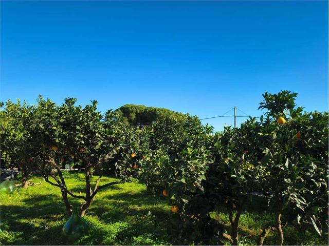 Case e ville in vendita di 173 m² in Via Provinciale San Vito, 195