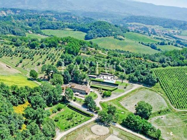 Case e ville in vendita di 1750 m² in Via Monicoro