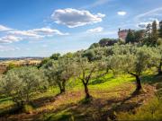 Case e ville in vendita di 180 m²