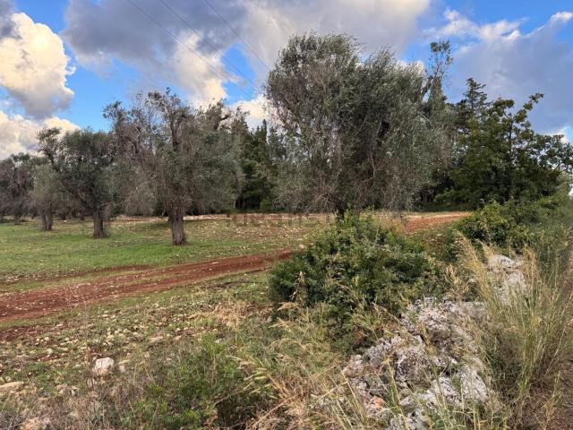 Case e ville in vendita di 182 m² in Contrada Colacurto