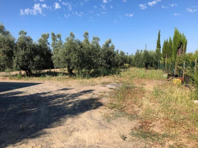 Case e ville in vendita di 200 m²