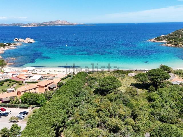 Case e ville in vendita di 214 m² in Traversa della Pineta